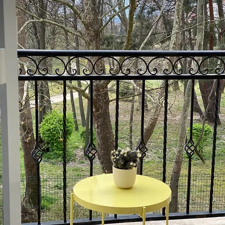 Apartment In The Park - *