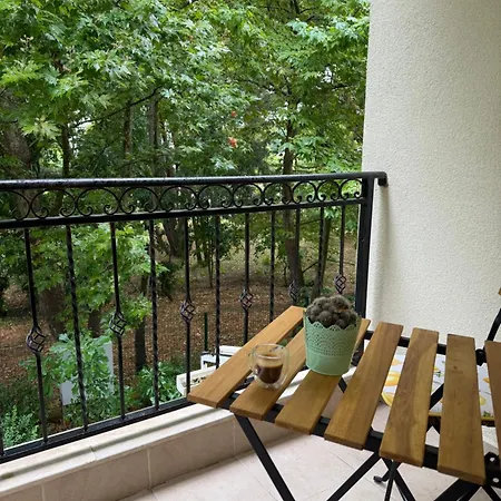 Apartment In The Park - *